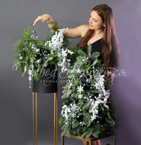 Снежное королевство