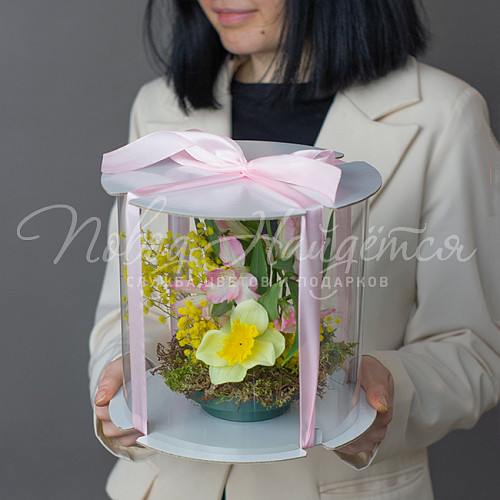 8.03 КОРП Подарок Корпоративный 2