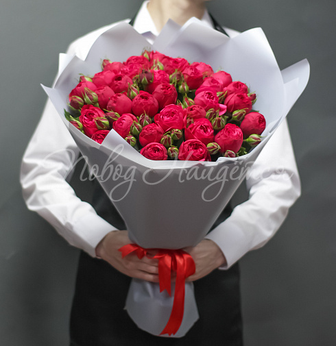 Бордовое искушение