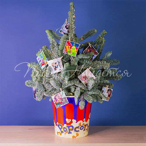 Новый год Атмосфера Рождества