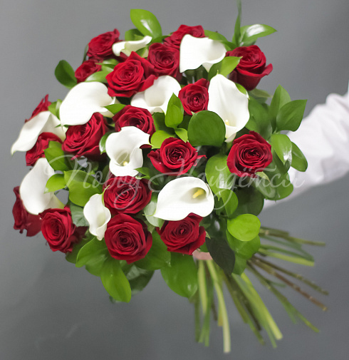 Каникулы в Риме