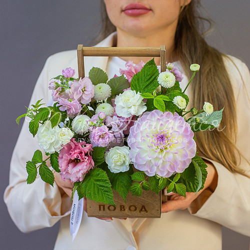 День учителя Созерцая небо