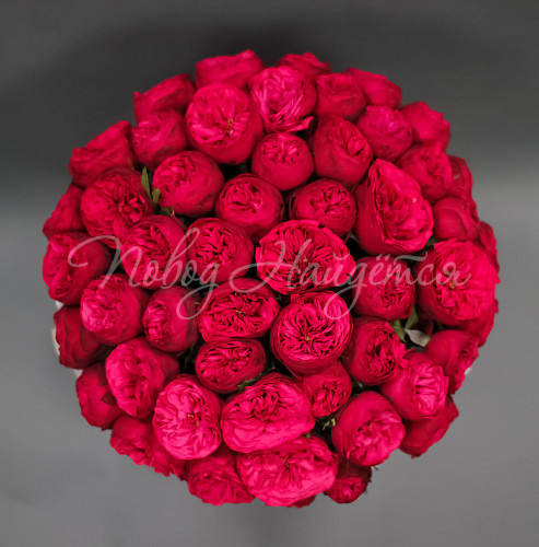 Пионовидные розы Тайная страсть