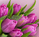 Букет Корпоративный 33
