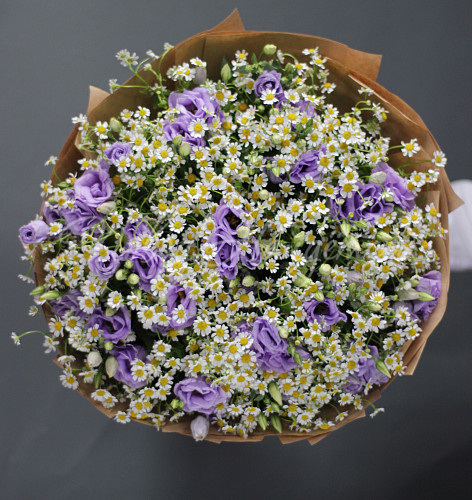 РОМАШКИ Милан