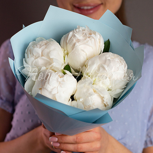 ПИОНЫ Голубые Гавайи