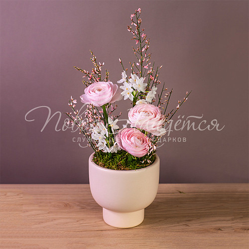 ВЕСНА Морозная клюква