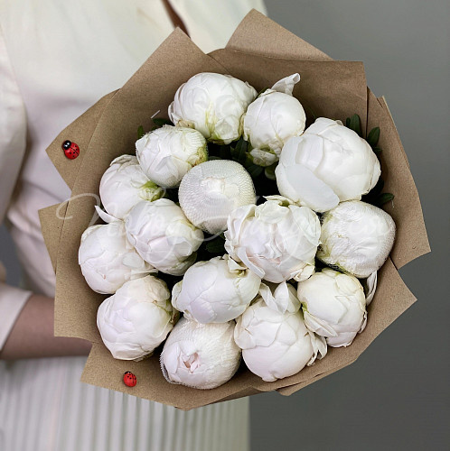 ПИОНЫ Ласковый рассвет