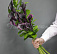 9 фиолетовых калл