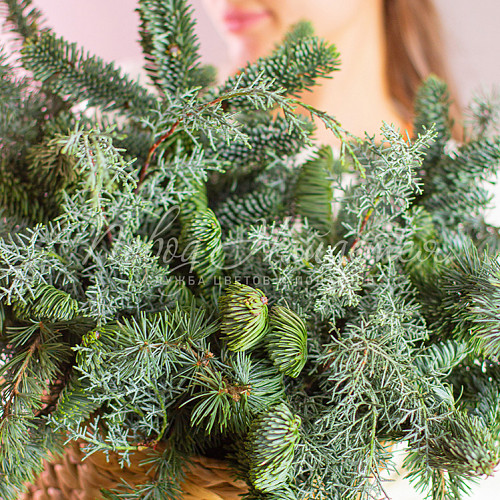 Новый год Фея волшебного леса