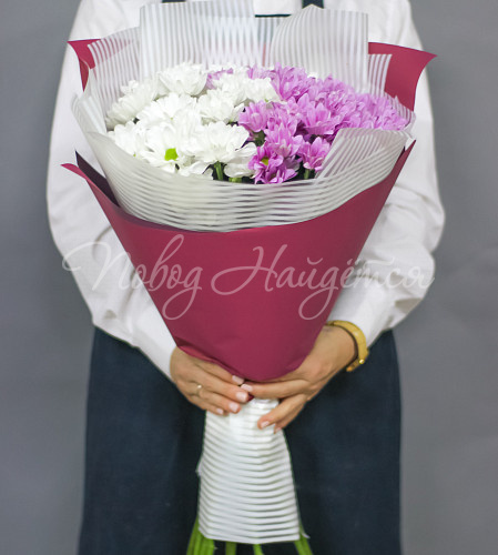 ХРИЗАНТЕМЫ Магия утра