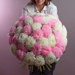 Колесо фортуны