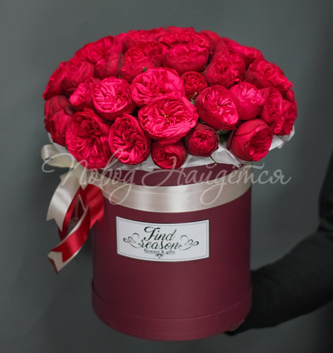 Пионовидные розы Тайная страсть