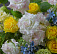 Композиция № 357