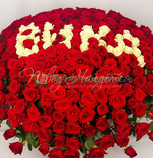 Вика