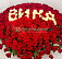 Вика