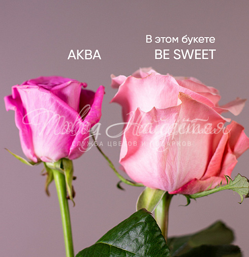 25 роз Be sweet