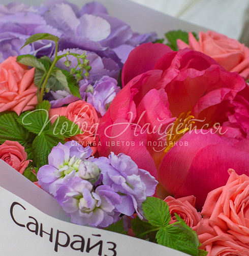 Бьянко Санрайз