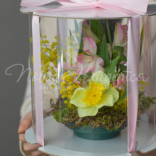 8.03 КОРП Подарок Корпоративный 2