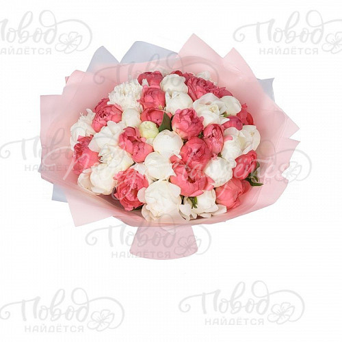 ПИОНЫ Коралловые рифы