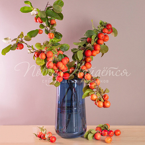 Цветы Наливные щечки