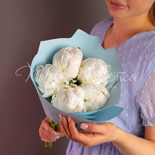 ПИОНЫ Голубые Гавайи