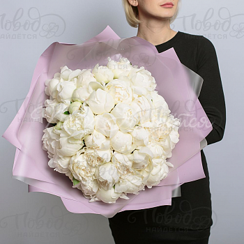 ПИОНЫ Крем-брюле