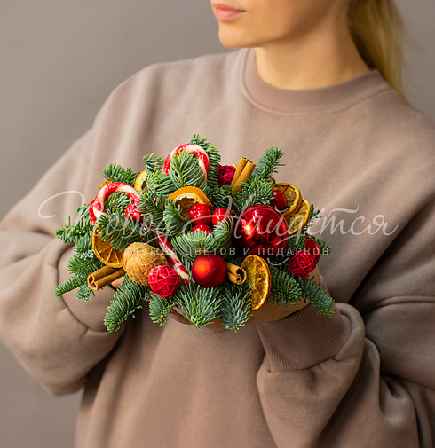 Зимние грезы