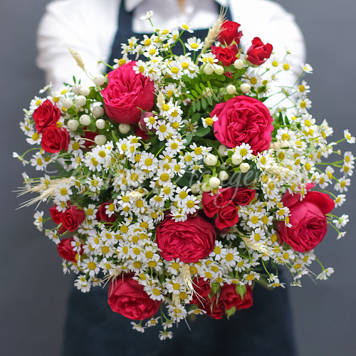 РОМАШКИ Итальяночка