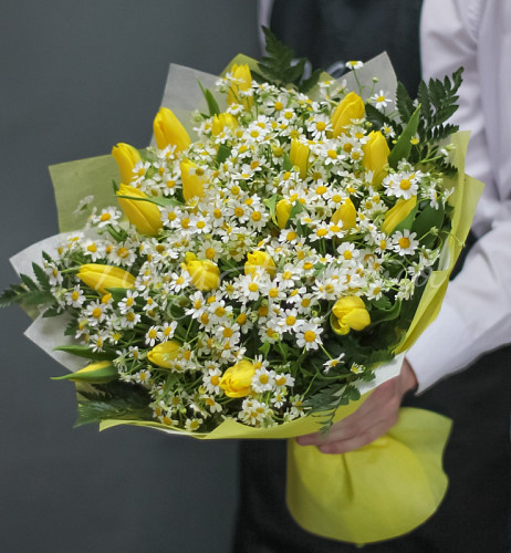 РОМАШКИ Ослепительной