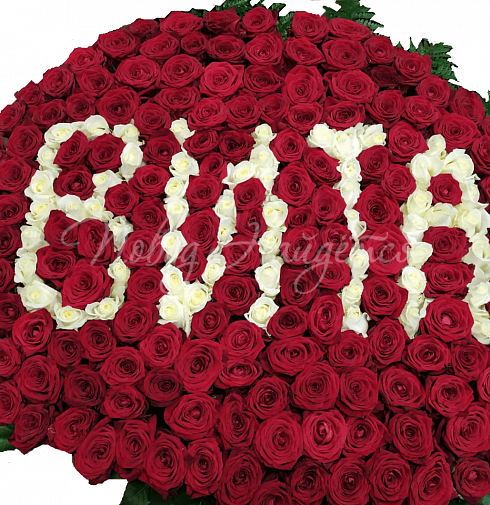 Вита