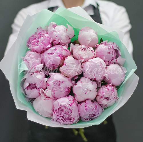 ПИОНЫ Нежное чувство