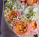 Морской горизонт