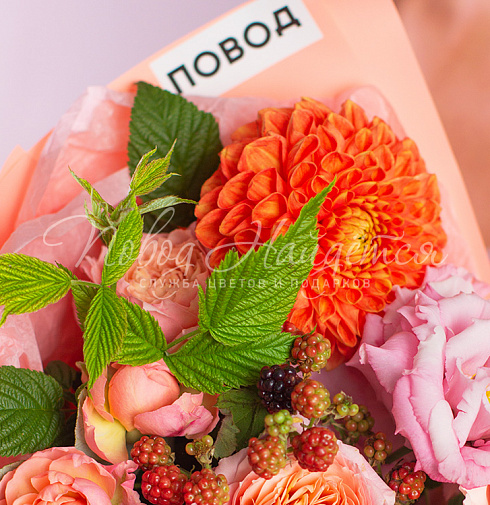 Новые знания