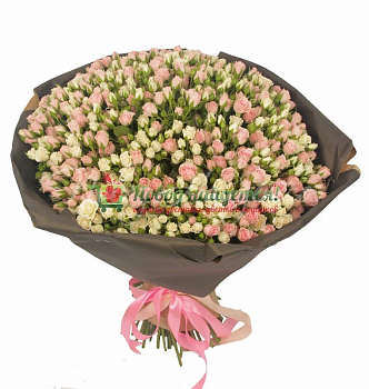 101 роза Августа