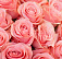 15 роз Be sweet