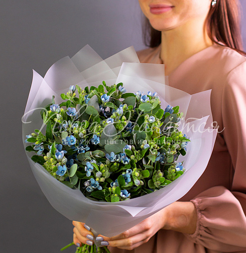 Лесные сказки