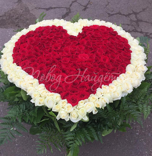 Сердце красавицы