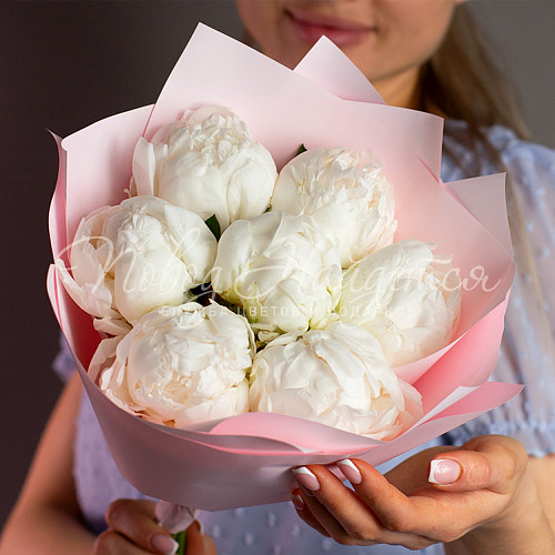 Цветы Зефирное небо