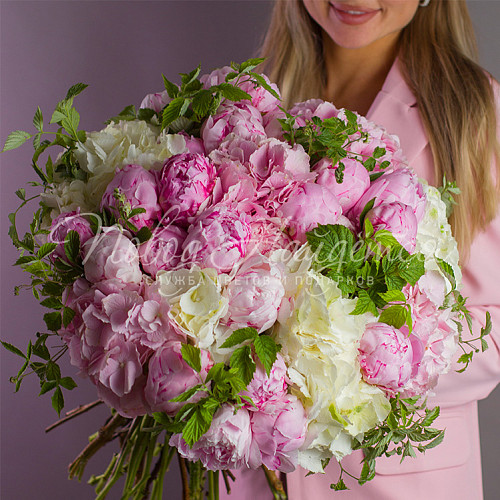 ГОРТЕНЗИИ Июльская жара