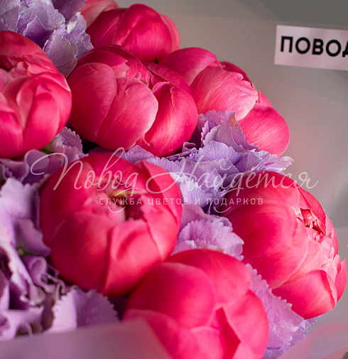 Валленсия