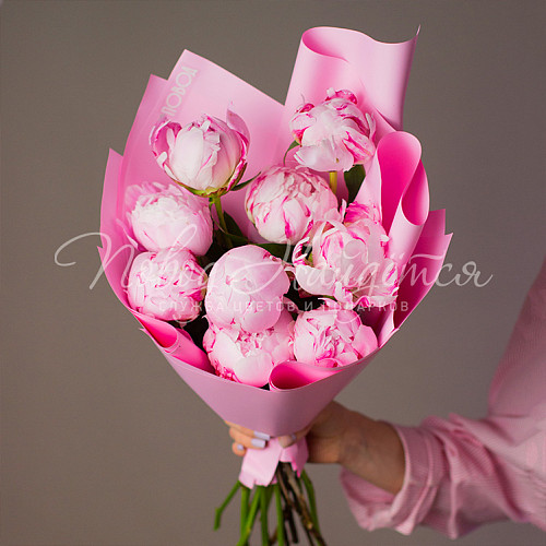 ЛЕТО Ягодные сны