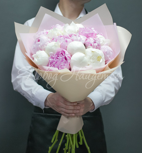 ПИОНЫ Маршмеллоу