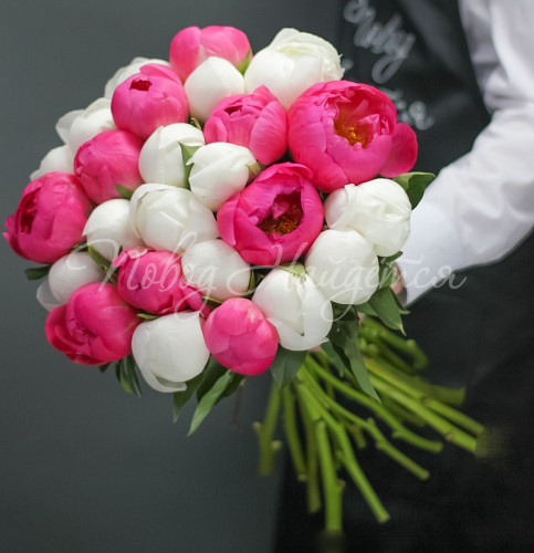 ПИОНЫ Таллин