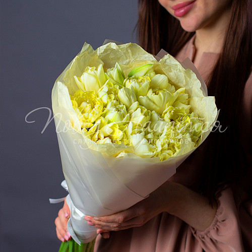 ТЮЛЬПАНЫ Весенние лучи