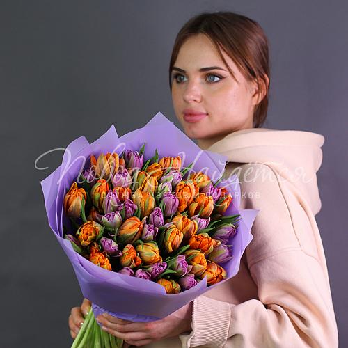 Первые лучи
