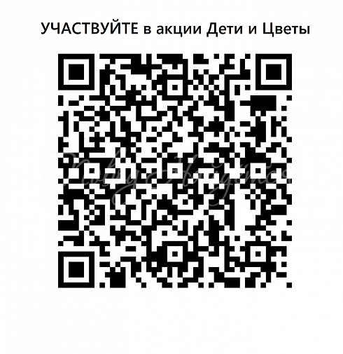 Сердечный порыв