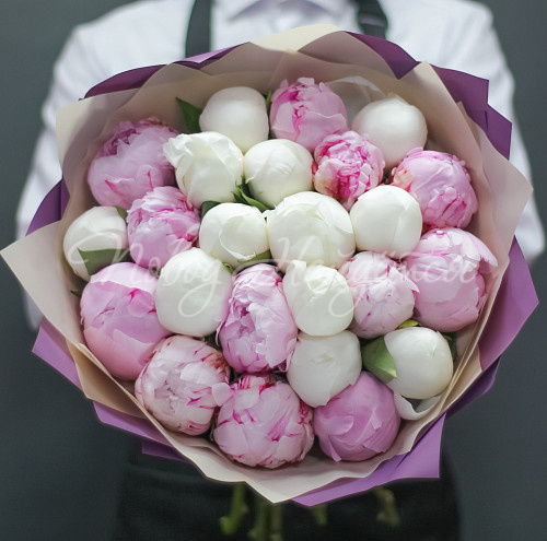 ПИОНЫ Бархатный сезон