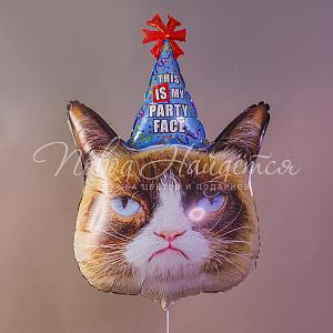 Милый котик