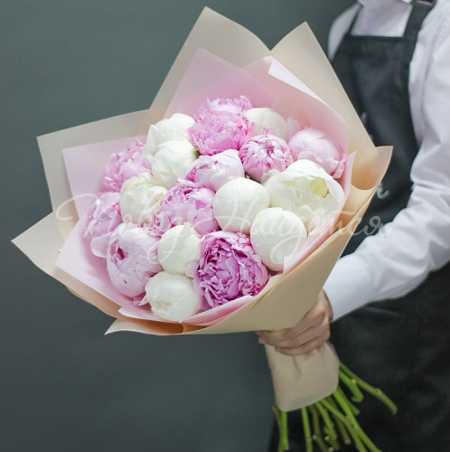 ПИОНЫ Маршмеллоу